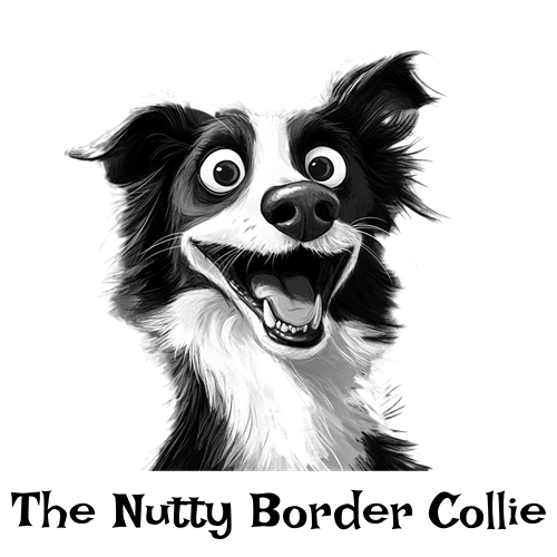 The Nutty Border Collie